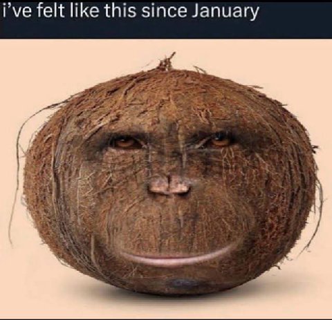 i’ve felt like this since January