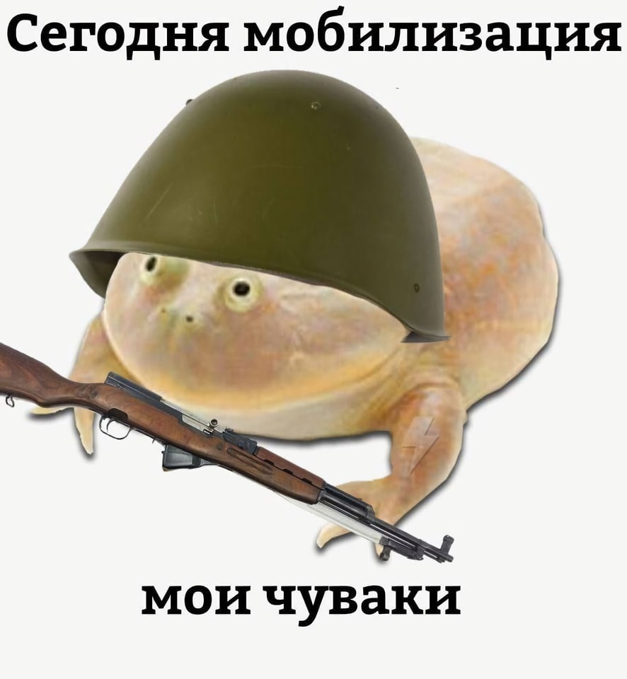 Сегодня мобилизация мои чуваки