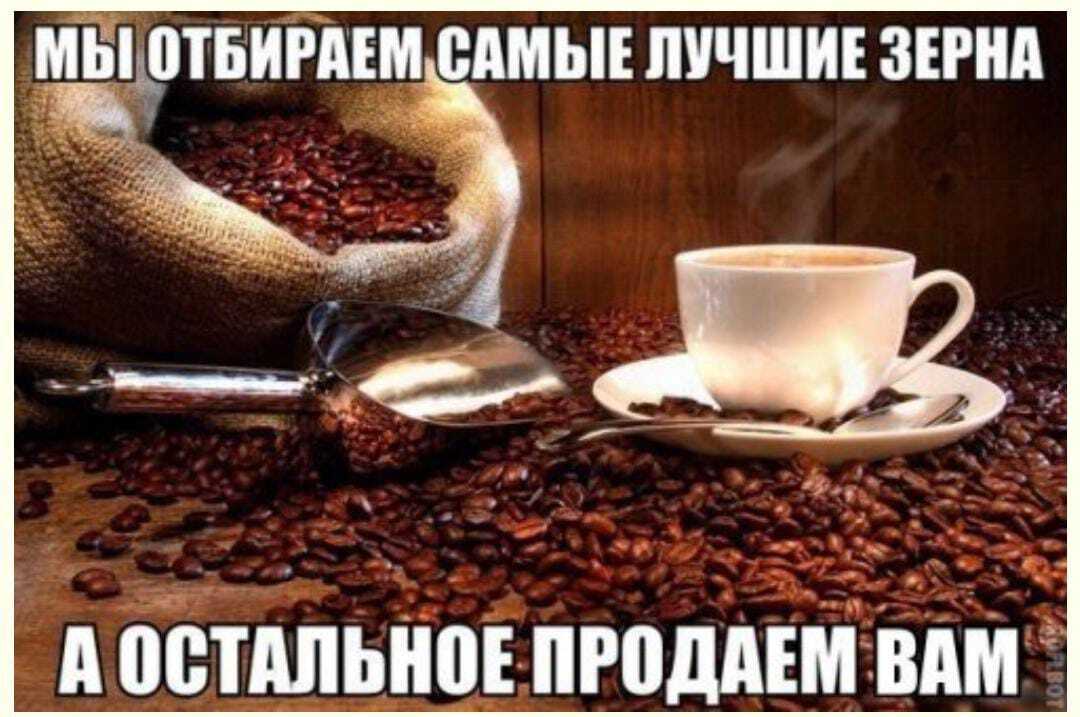 МЫ ОТБИРАЕМ САМЫЕ ЛУЧШИЕ ЗЕРНА А ОСТАЛЬНОЕ ПРОДАЕМ ВАМ
