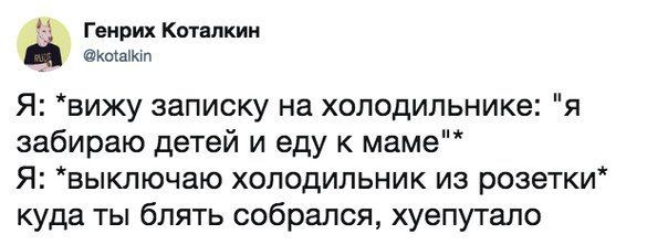 Генрих Коталкин @kotalkin Я: *вижу записку на холодильнике: "A забираю детей и еду к маме"* Я: *выключаю холодильник из розетки* куда ты блять собрался, хуепутало