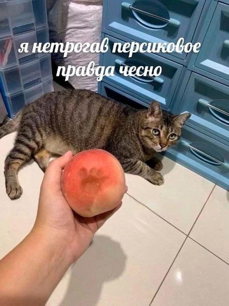 я нетрогав правда чесно