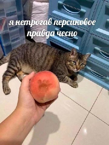 я нетрогав правда чесно