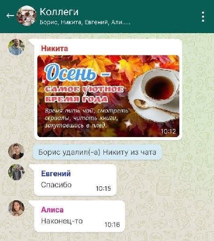 Коллеги Борис, Никита, Евгений, Али Никита О CAMOE года Время смотреть серчалы, читать книги закутавшись в.плед 10:12 Борис удалил(-а) Никиту из чата Евгений 8 Спасибо 10:15 Алиса Наконец-то 10:16