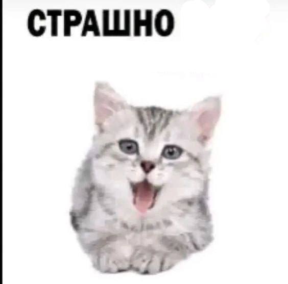 СТРАШНО