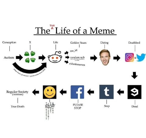 true The* Life of aMeme Conception Life Golden Years Dieing Deathbed Autism random sub a в t/dankmemes (normies) True Death Stop Dead