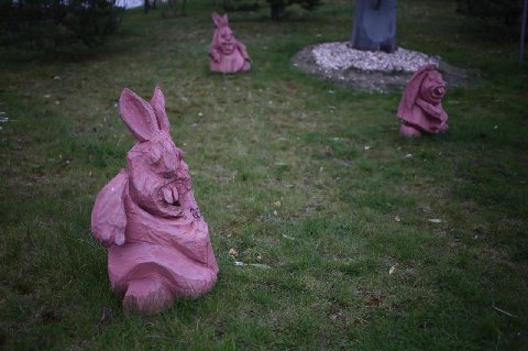 В нашей стране с детства дети готовятся к трудностям и закаляют свою психику. Вот эти зайцы, возможно, должны подготовить будущих исследователей алкогольного делирия к сложностям изменённого состояния