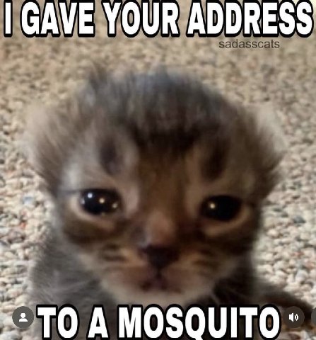 GAVE TO A