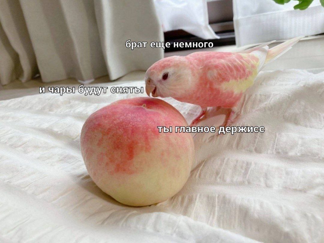 брат еще немного авн 57