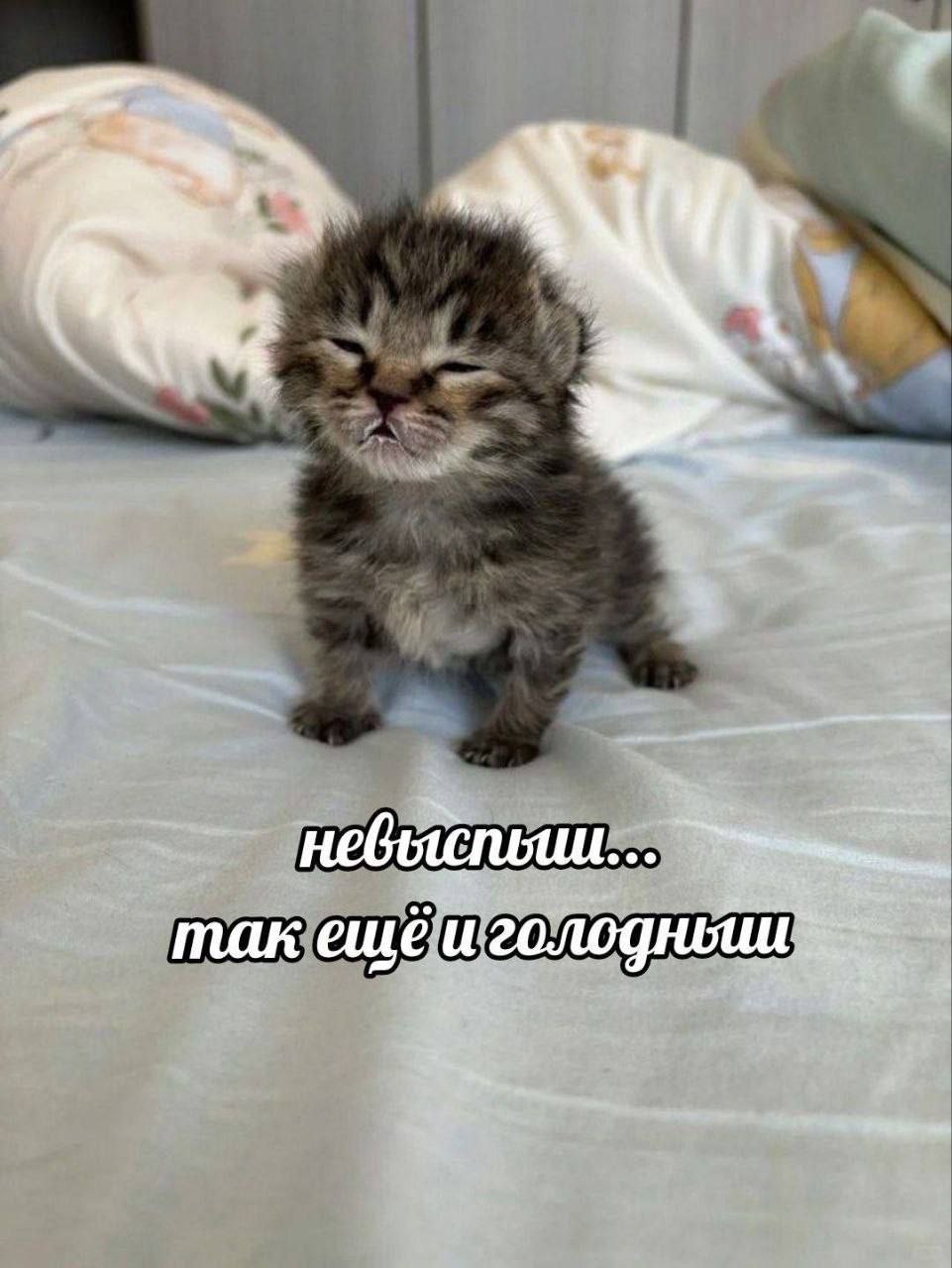 так ещё и