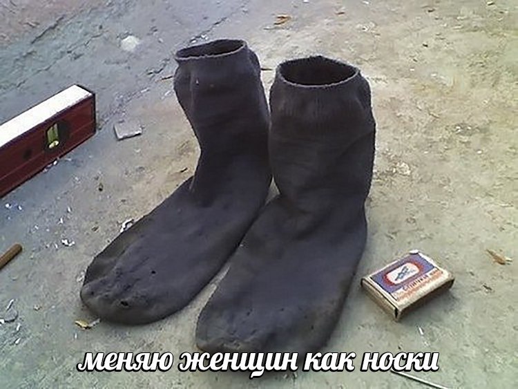 bee женщин как НОС