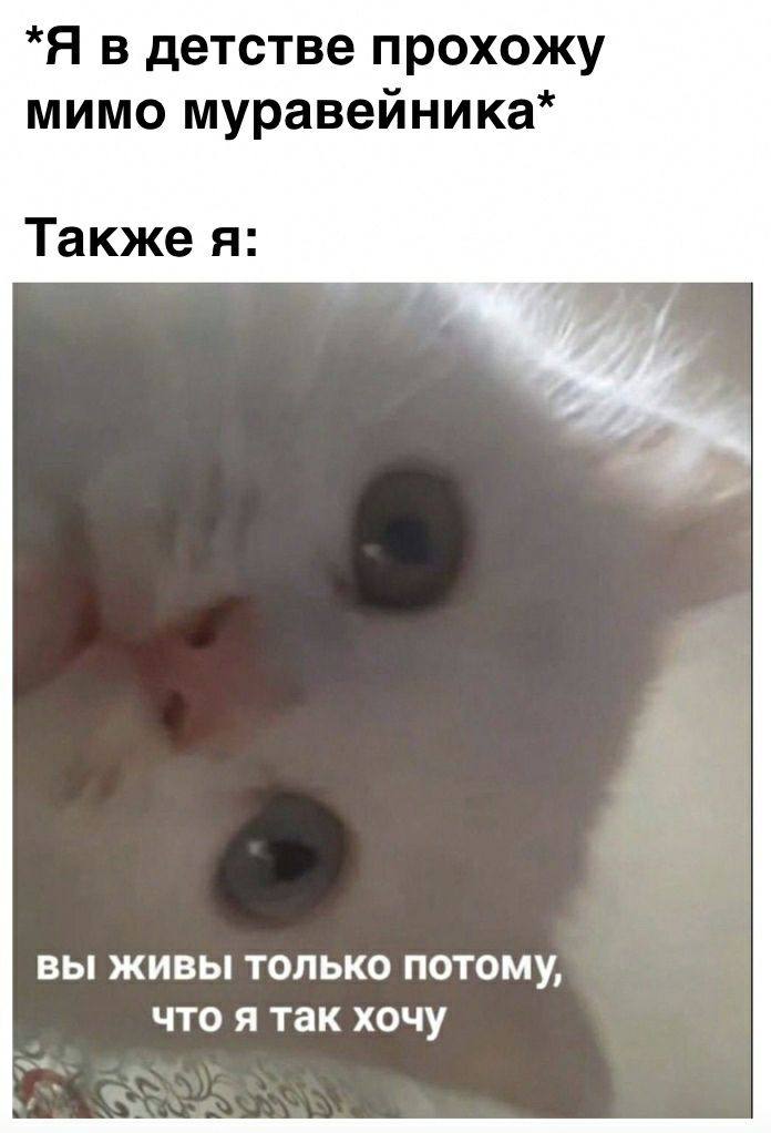 *Я в детстве прохожу мимо муравейника* Также я: вы живы только потому, что я так хочу