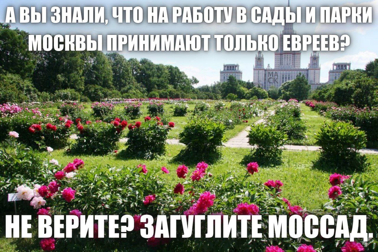 A ВЫ ЗНАЛИ, ЧТО НА РАБОТУ В САДЫ И ПАРКИ МОСКВЫ ПРИНИМАЮТ ЕВРЕЕВЗ a’ Now aN HE BEPATE? ЗАГУГЛИТЕ МОССАД
