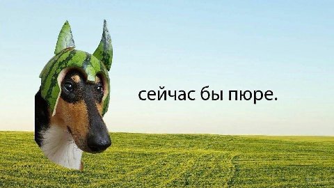 4 ейчас бы пюре. #4 a sel и 7 ine 2 237 He