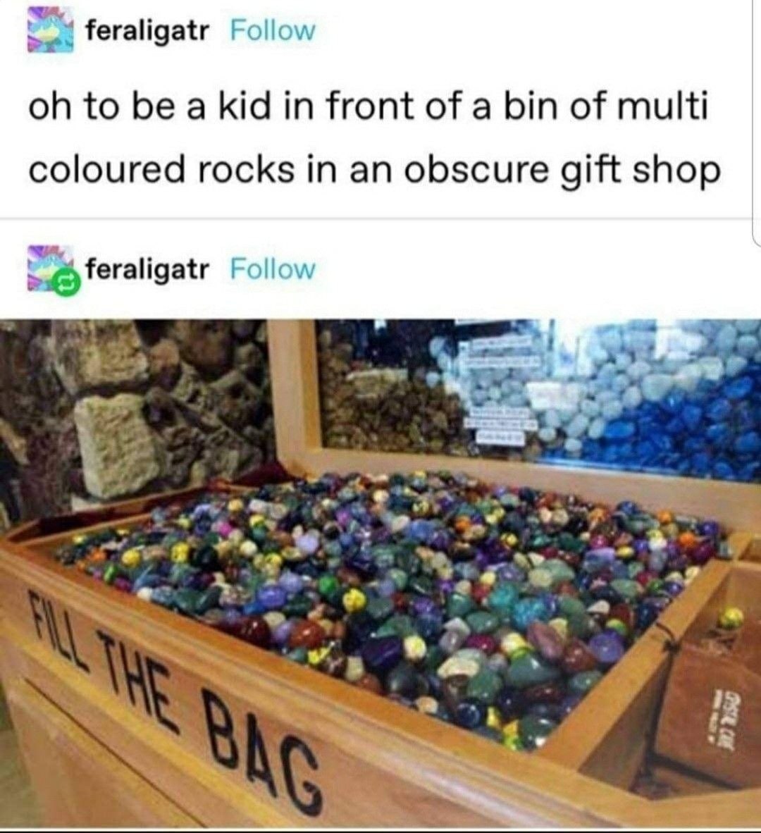 feraligatr Follow to be a kid in front of a bin of multi coloured rocks in an obscure gift shop feraligatr Follow 4 2 12
