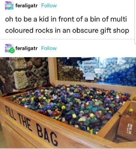 feraligatr Follow to be a kid in front of a bin of multi coloured rocks in an obscure gift shop feraligatr Follow 4 2 12