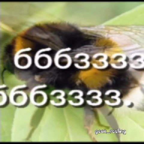 мем