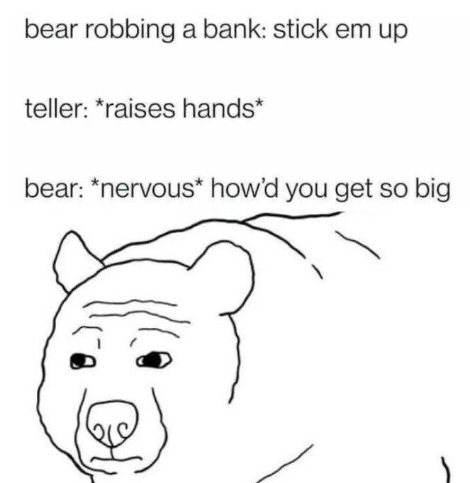 bear robbing а bank: stick up teller: *raises hands* bear: *nervous* howd you get so big a