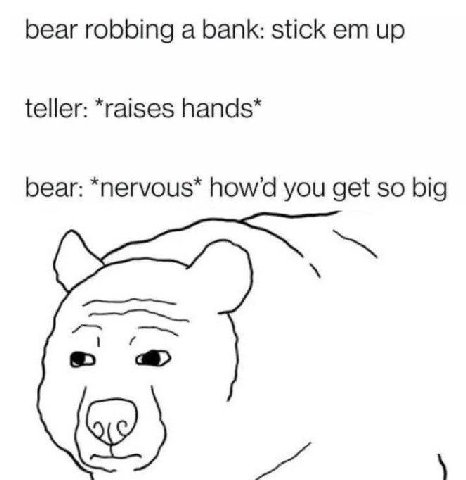 bear robbing а bank: stick up teller: *raises hands* bear: *nervous* howd you get so big a