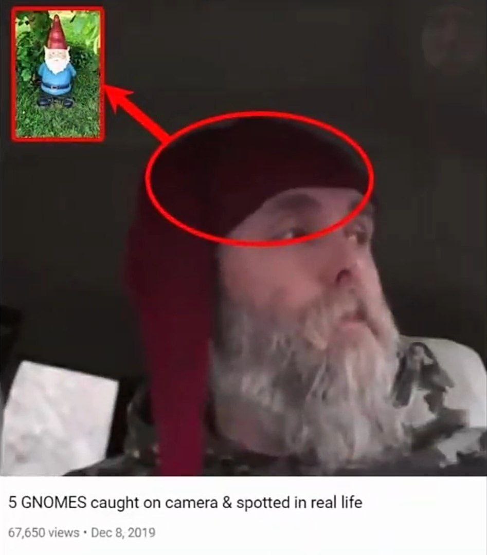 5 GNOMES caught on camera spotted in real life 67,650 views Dec 8, 2019