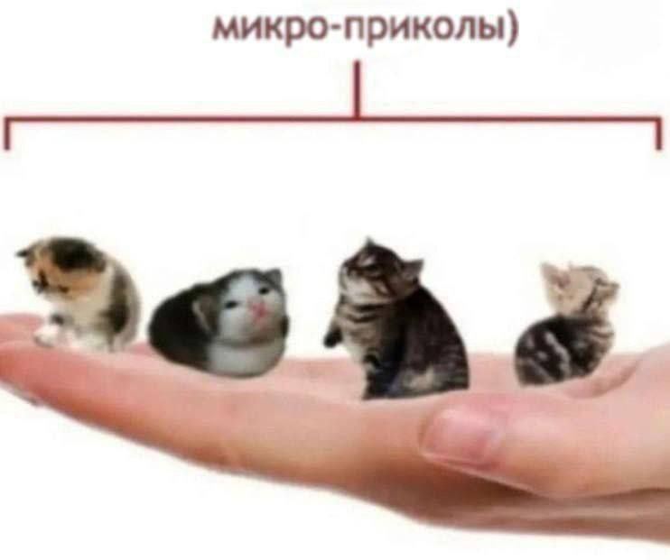 микро-приколы)