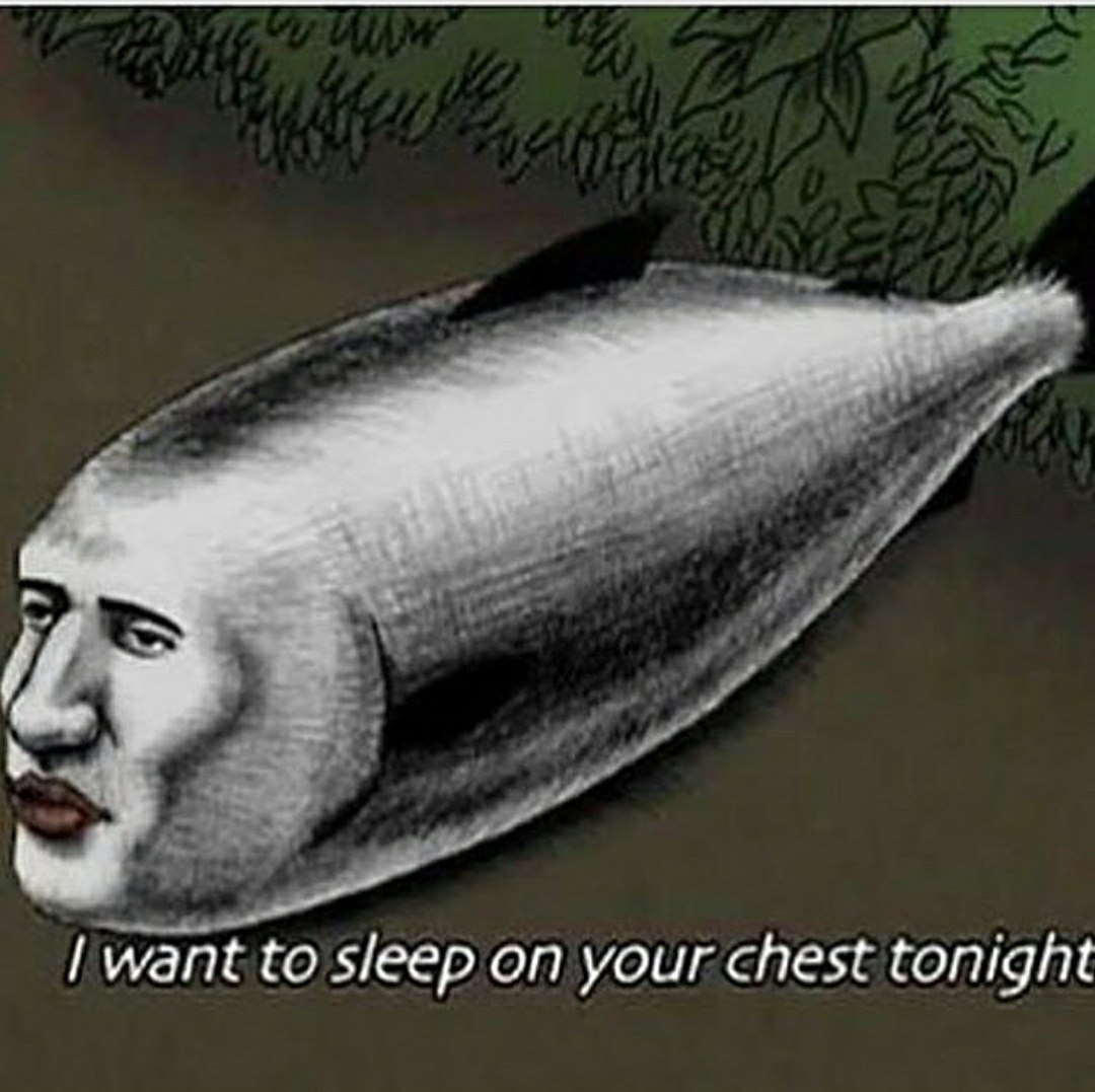 want to sleep on your chest tonight