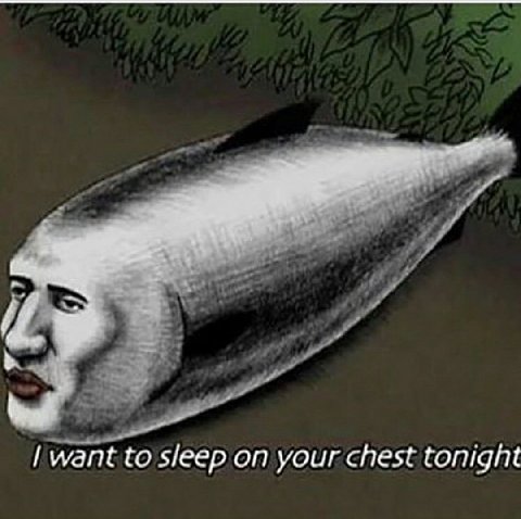want to sleep on your chest tonight