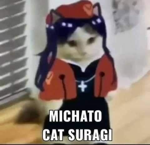 MICHATO CAT SURAGI