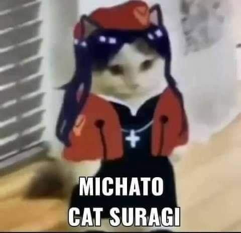 MICHATO CAT SURAGI
