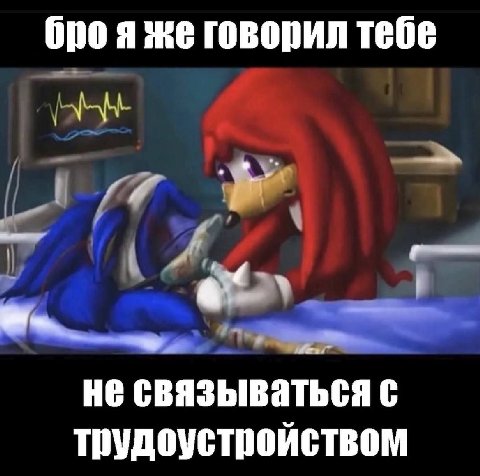 броя же говорил тебе да у не связываться с трудоустройством