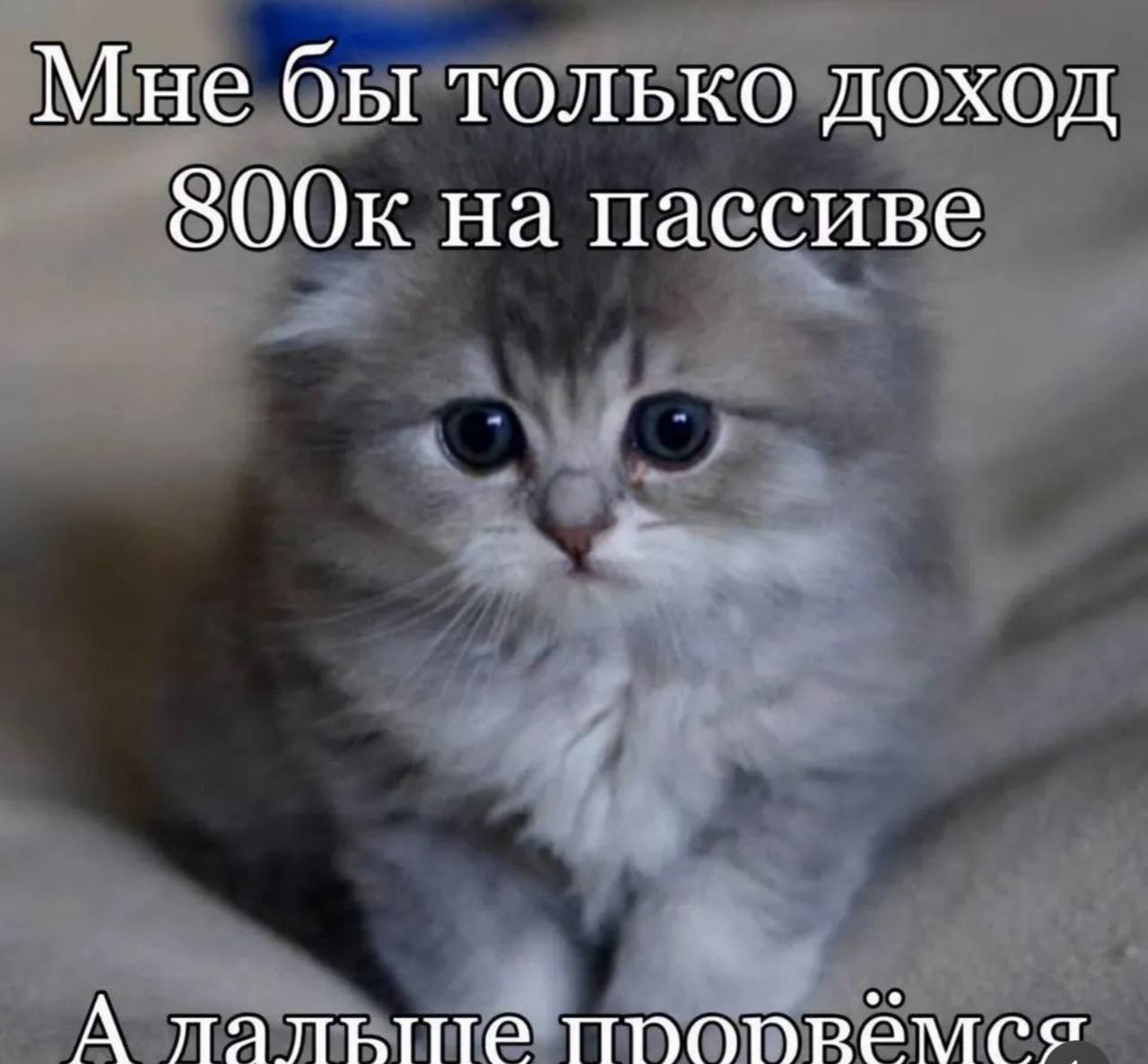 Мне бы только доход SOOK на пассиве А прорремея