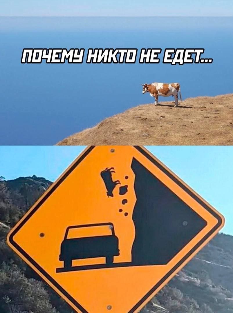 ПОЧЕМУ НИКТО НЕ ЕДЕТ...