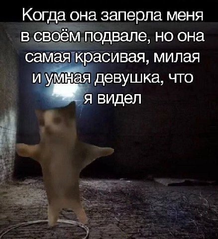 Когда она заперла меня в своём подвале, но она самая красивая, милая и умная девушка, что ’я видел