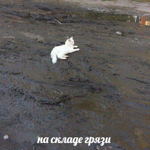 на складе грязи