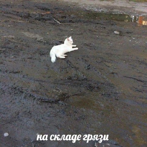 на складе грязи