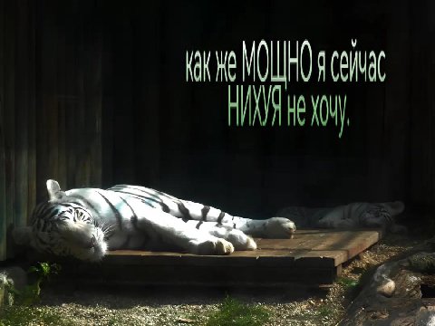 a к. у 7