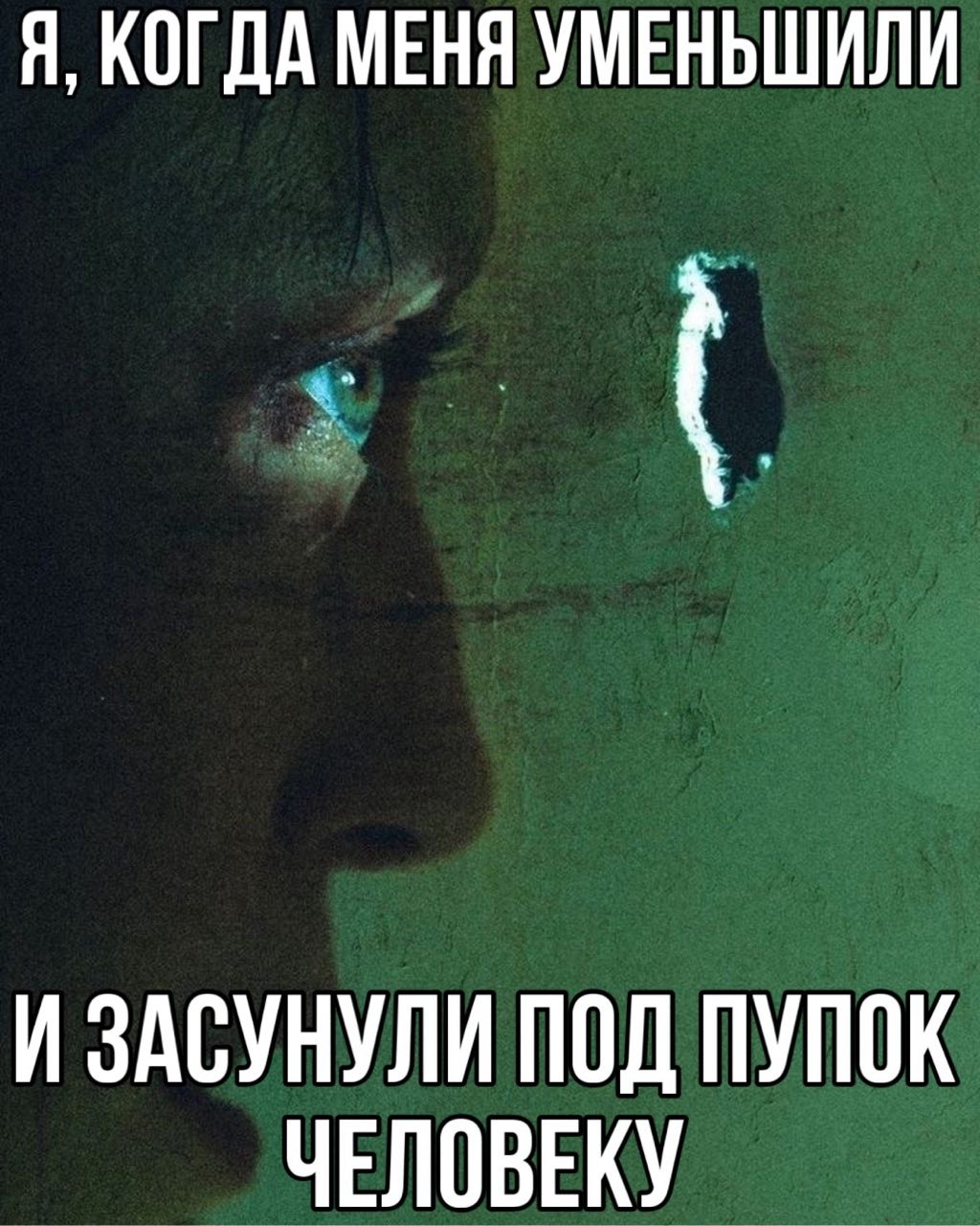 Я, КОГДА МЕНЯ УМЕНЬШИЛИ И ЗАСУНУЛИ ПОД ПУПОК ЧЕЛОВЕКУ