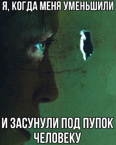 Я, КОГДА МЕНЯ УМЕНЬШИЛИ И ЗАСУНУЛИ ПОД ПУПОК ЧЕЛОВЕКУ