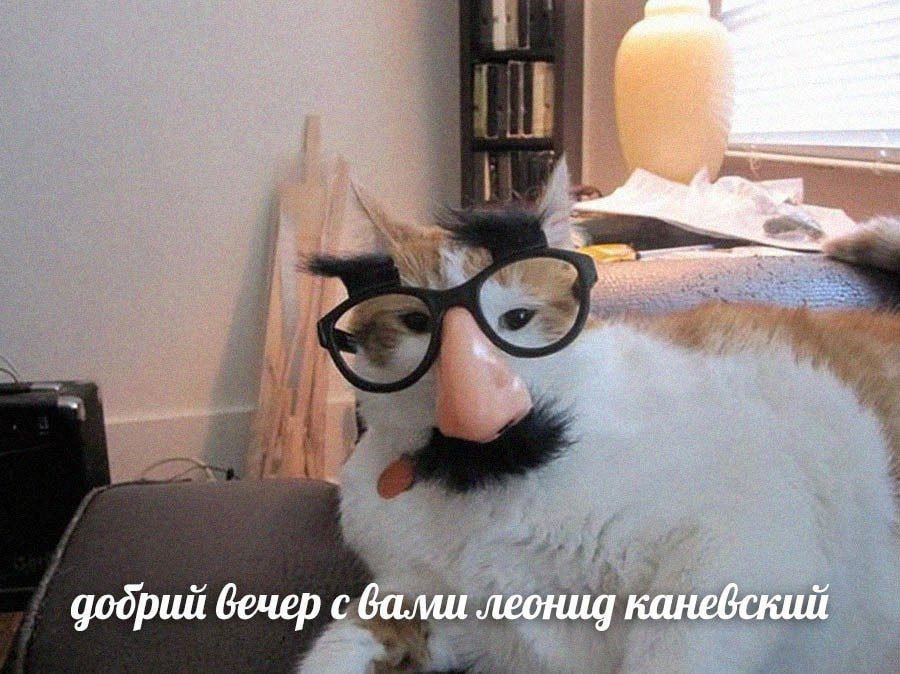додрий вечер с вали леонид каневский