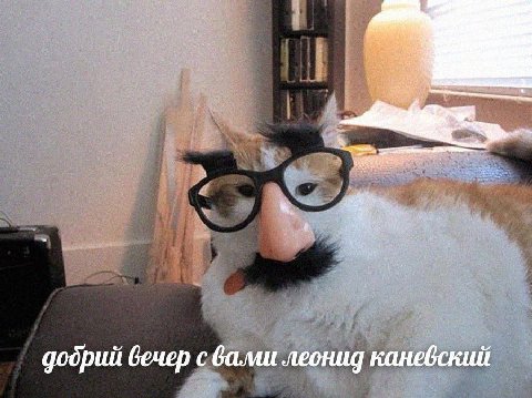 додрий вечер с вали леонид каневский