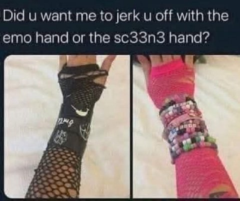 Did и want me to jerk и off with the emo hand or the sc33n3 hand?
