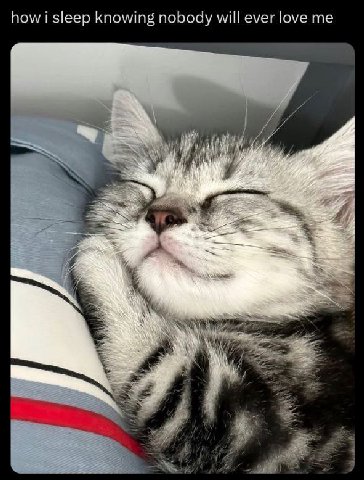 how i sleep knowing nobody will ever love me У 7