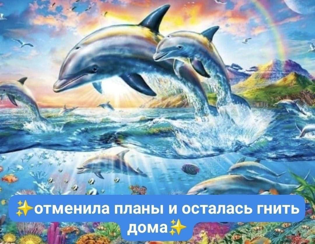 отменила планы и осталась гнить