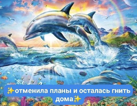 отменила планы и осталась гнить