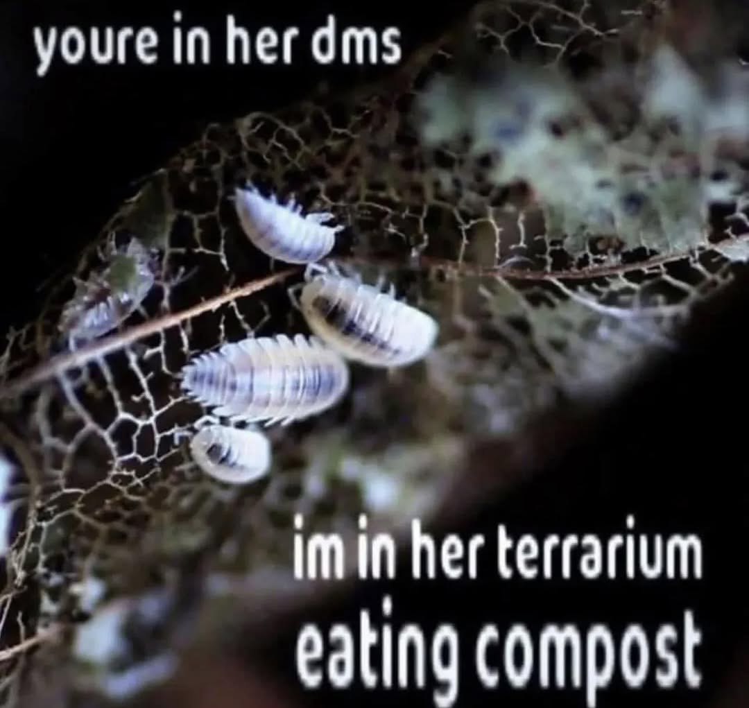 youre in her dms imin her terrarium eating compost