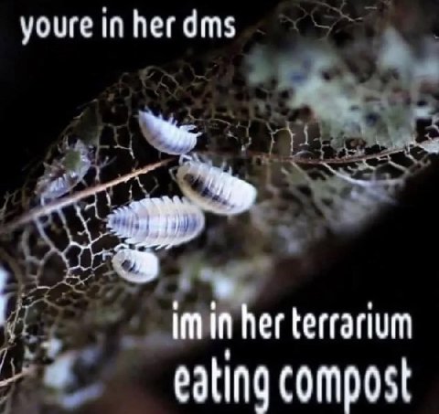 youre in her dms imin her terrarium eating compost
