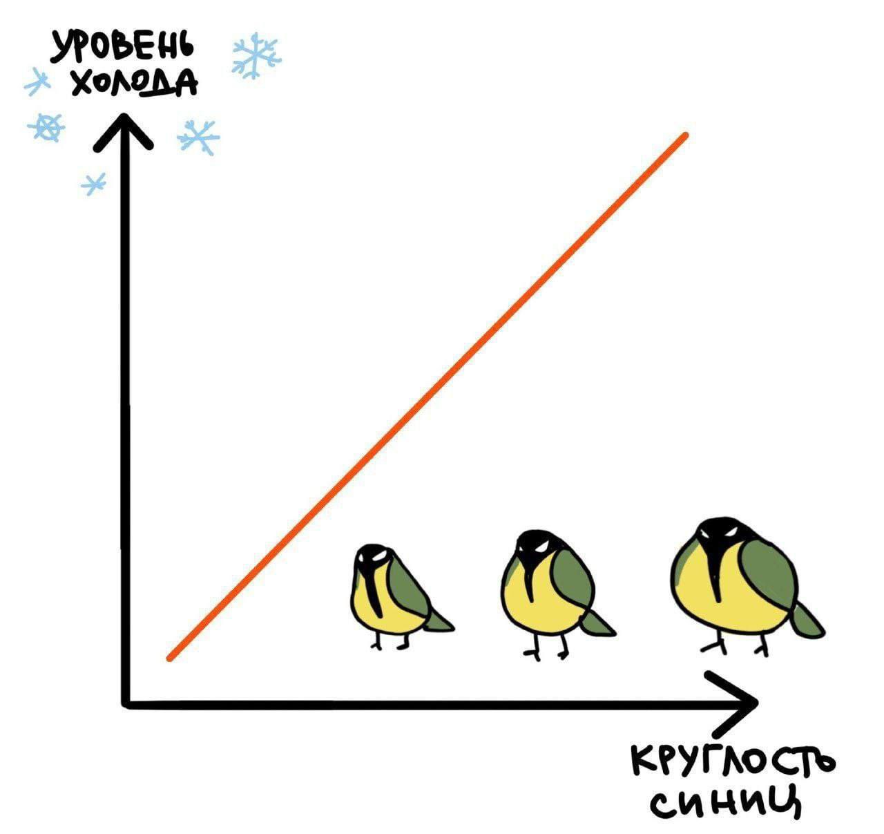 УРОБЕНЬ КРУГ СТь синиц