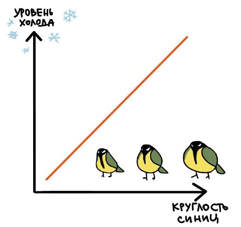 УРОБЕНЬ КРУГ СТь синиц