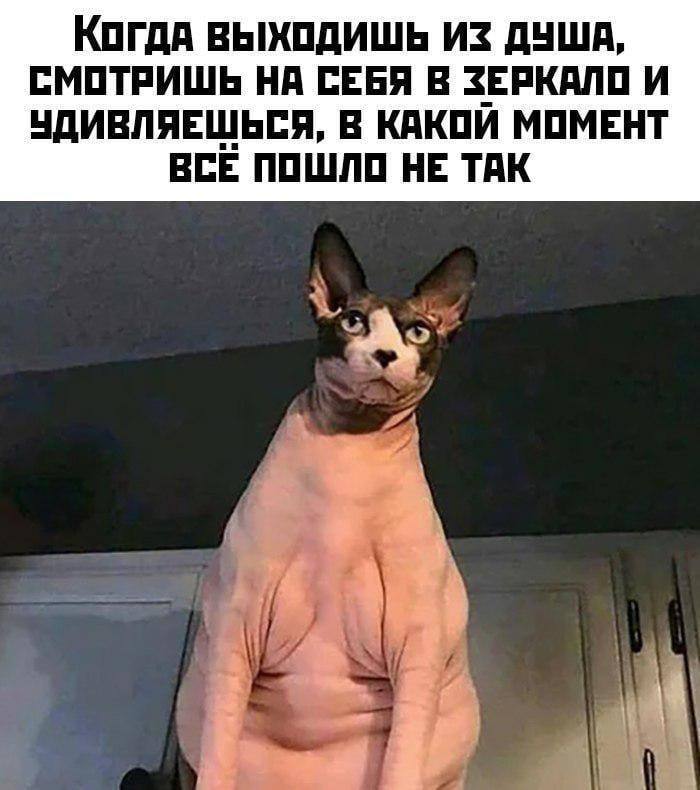 Когда ВЫХОДИШЬ ИЗ ДУША, СМОТРИШЬ НА СЕБЯ В ЗЕРКАЛО И УДИВЛЯЕШЬСЯ, В КАКОИ МОМЕНТ ВСЕ ПОШЛО НЕ ТАК