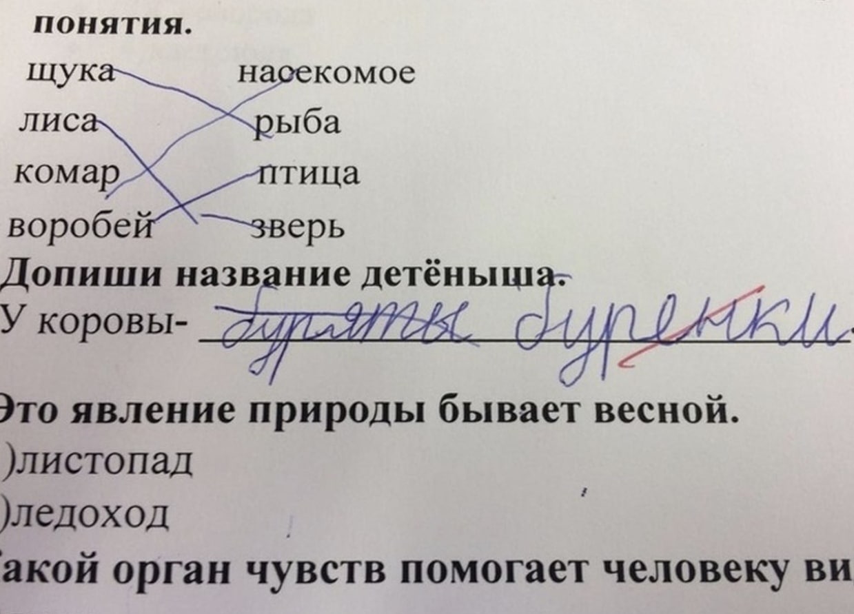 понятия. щук асекомое лис ыба комар тица воробей Допиши название детёныш У коровы- ITO явление природы бывает )листопад )ледоход акой орган чувств помогает человеку