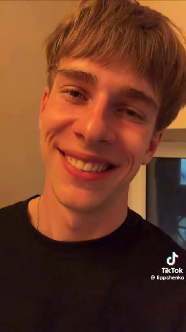 TikTok lippchenko